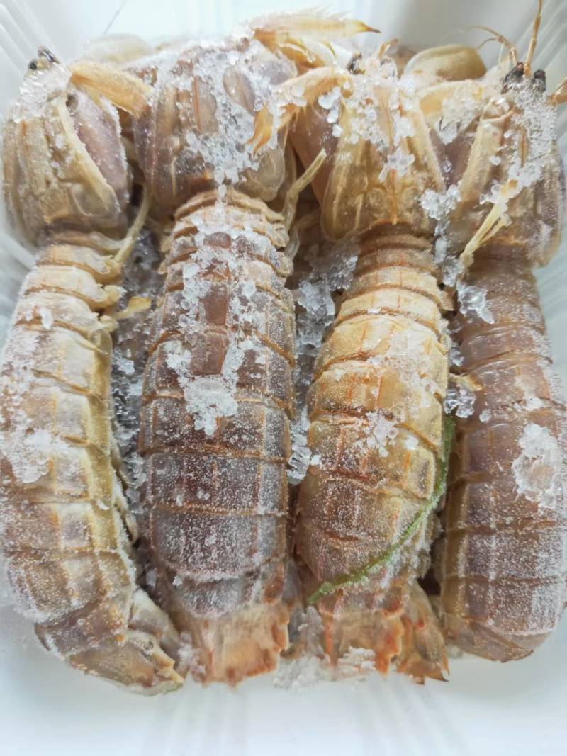 皮皮虾鲜活虾姑虾爬子超特大批发海鲜海虾新鲜蒸熟全母带膏皮