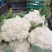 花菜大量上市白面青梗
