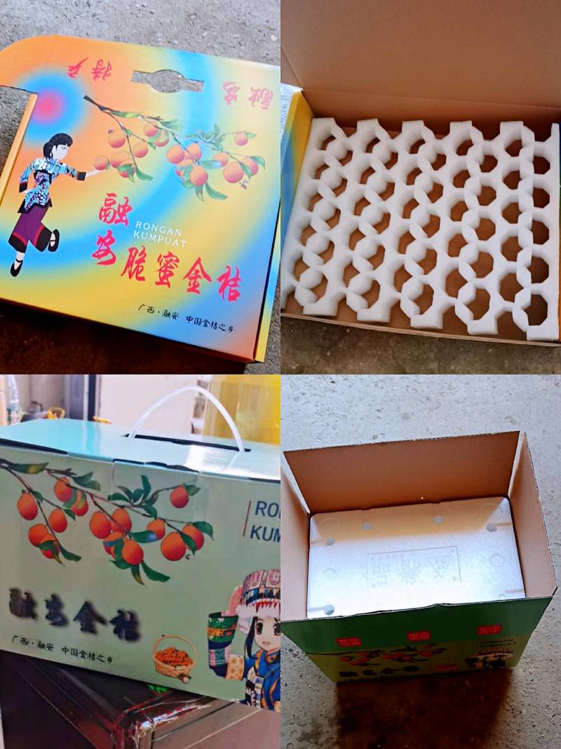 孕妇放心食用广西正宗融安金桔脆皮滑皮金桔自家果园顺丰包邮