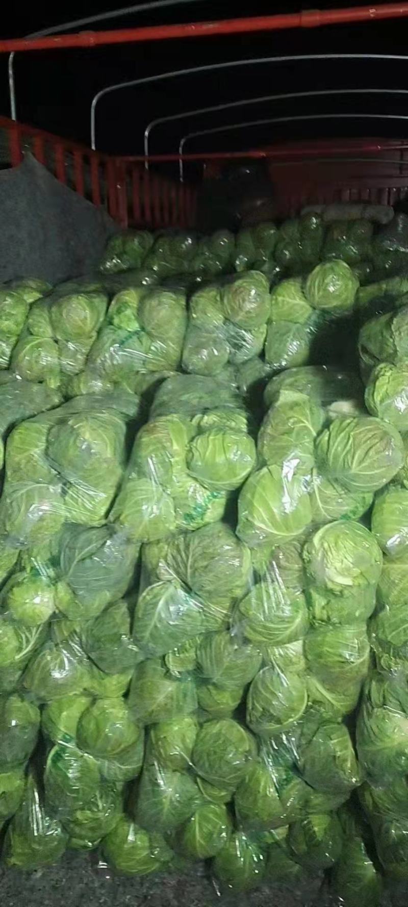 圆甘蓝，圆包菜，品质保证，坏了包赔，产地直发