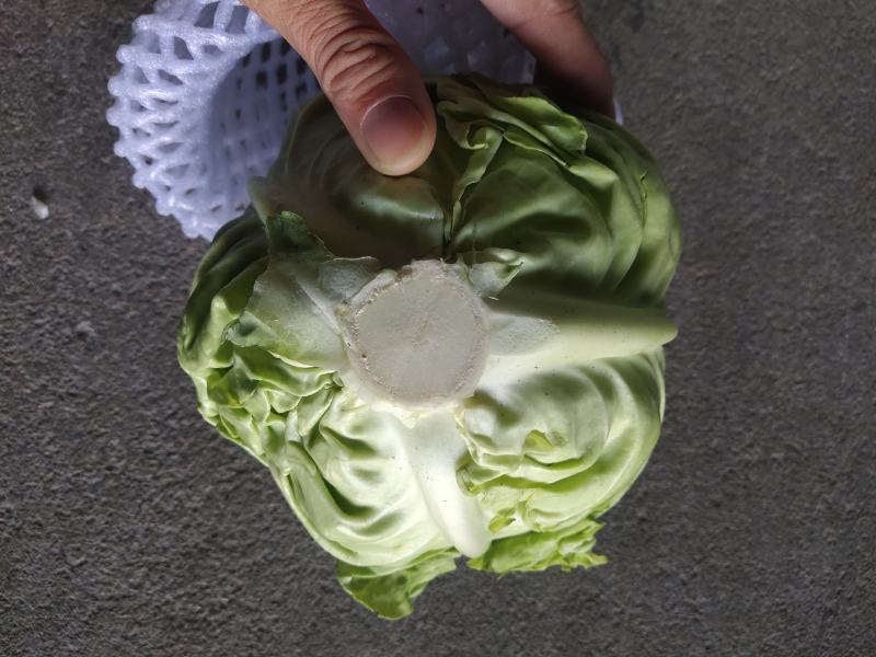 圆甘蓝，圆包菜，品质保证，坏了包赔，产地直发