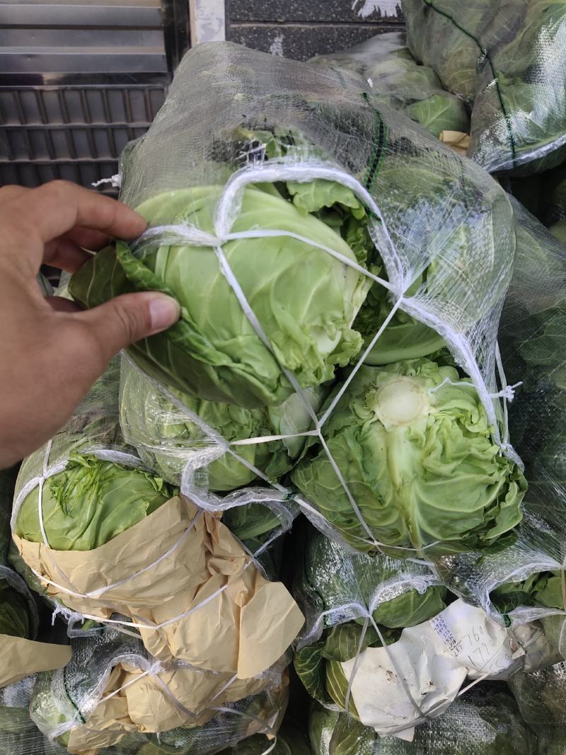 圆甘蓝，圆包菜，品质保证，坏了包赔，产地直发