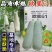 【超越博洋61】欧蜜61甜瓜种子超甜羊角蜜甜瓜种子酥脆