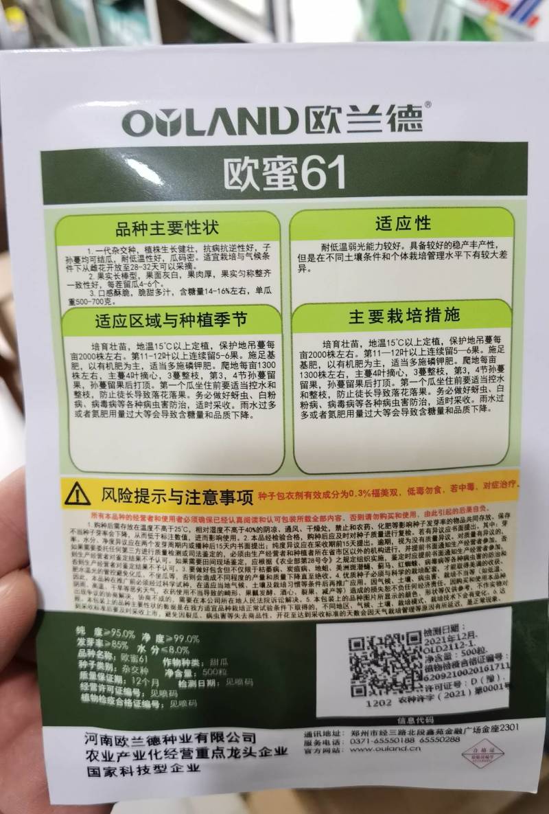 【超越博洋61】欧蜜61甜瓜种子超甜羊角蜜甜瓜种子酥脆
