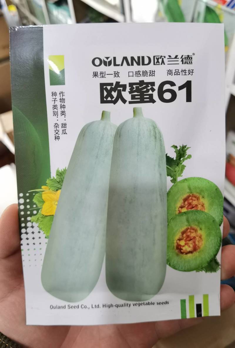 【超越博洋61】欧蜜61甜瓜种子超甜羊角蜜甜瓜种子酥脆