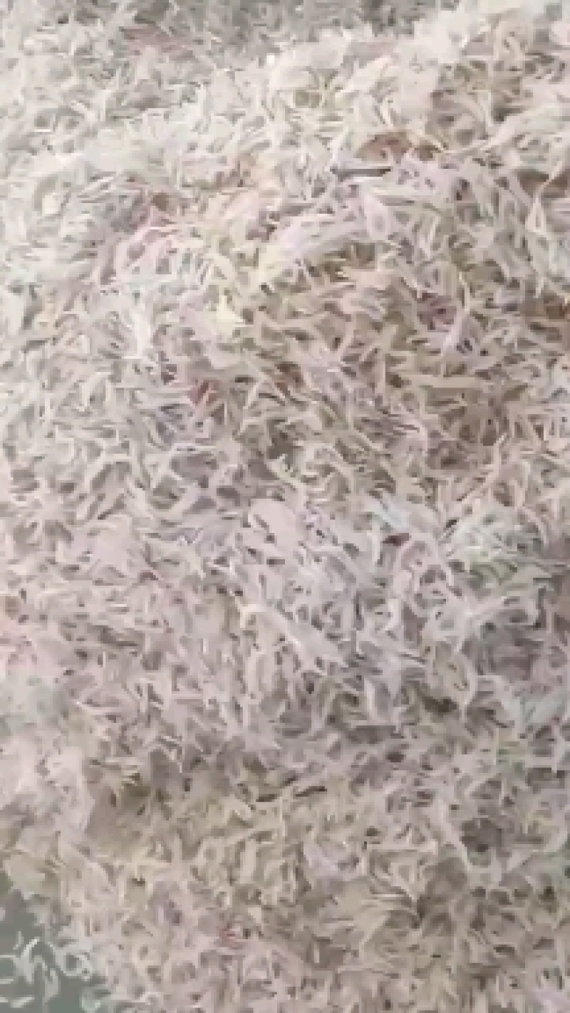 全天然虾米皮