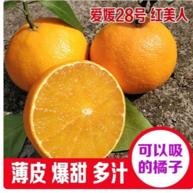 爱媛28号红美人新鲜现釆现发