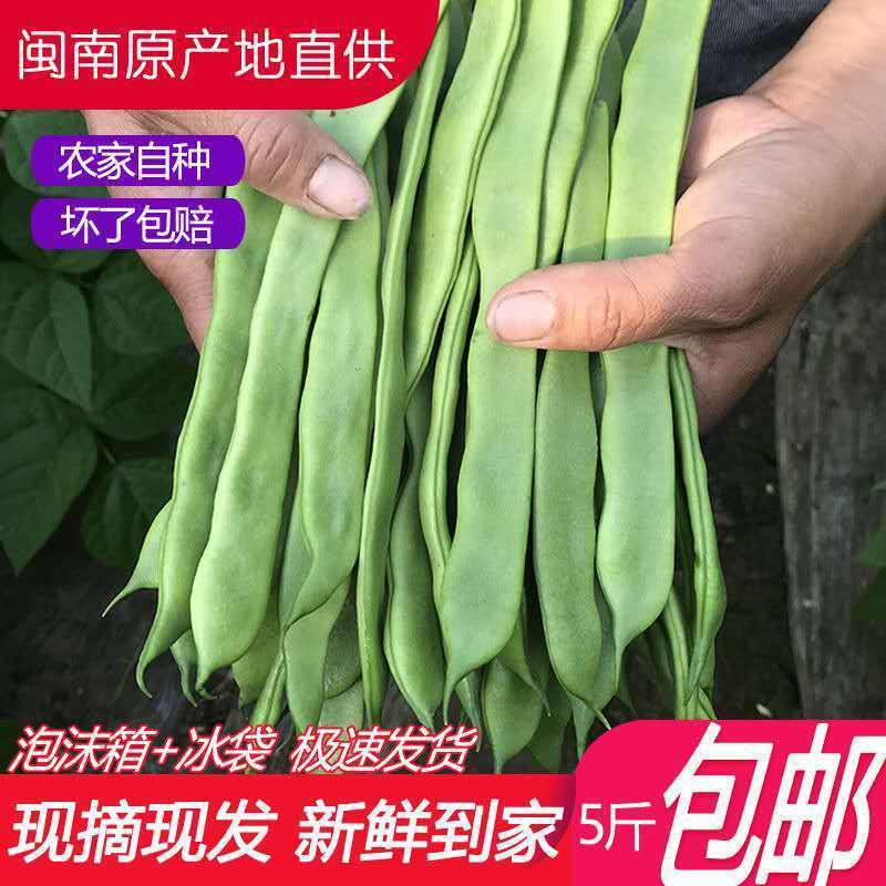 （实力供货）福建新鲜芸豆刀豆扁豆产地直发支持一件代发