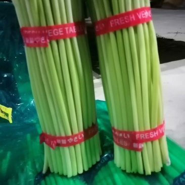 邳州精品蒜苔