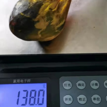 天然牛黄