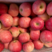 红富士苹果产地大降价！精品全红果！条红果！货源充足保证质