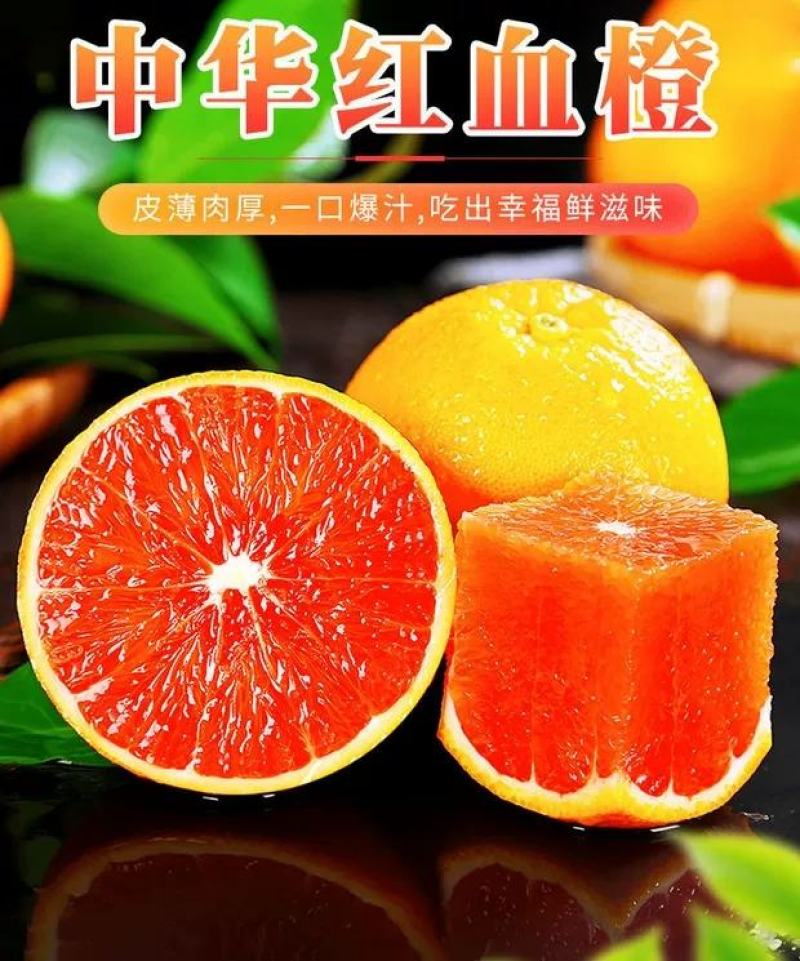 血橙，挂树鲜果，皮薄肉细腻，水分足果园看货订货！