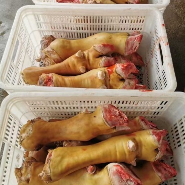 火烧牛蹄山东牛蹄货量充足品质保证，欢迎联系