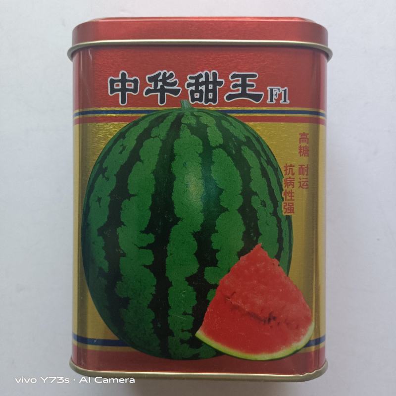 中华甜王西瓜种子杂交一代中早熟品种
