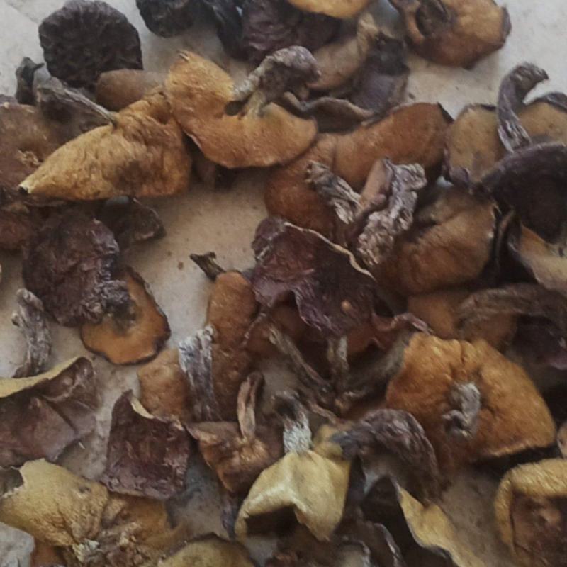 烘干松蘑【推荐】产地直发品质保证可视频看货欢迎下单