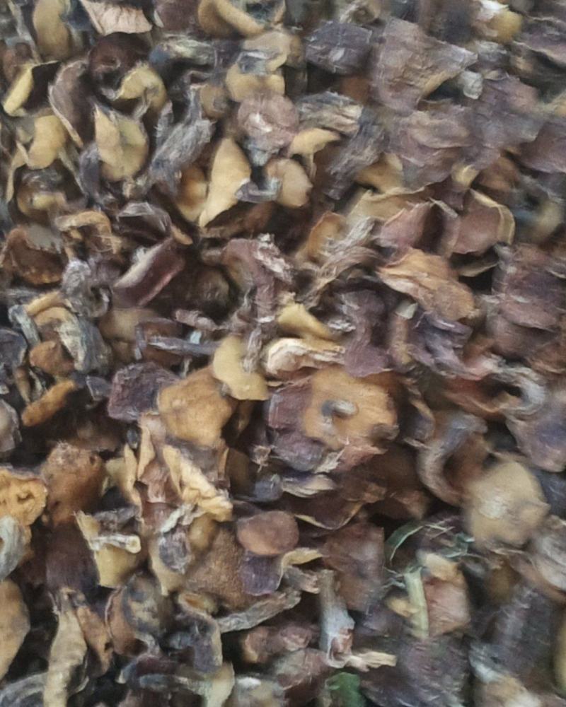 烘干松蘑【推荐】产地直发品质保证可视频看货欢迎下单