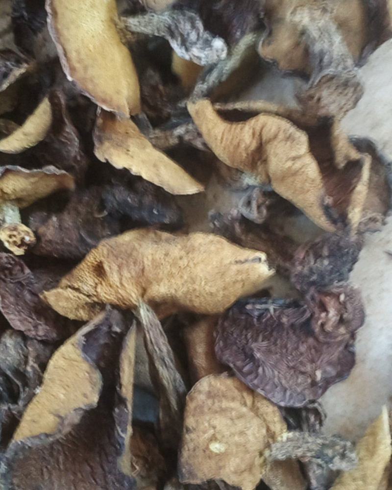 烘干松蘑【推荐】产地直发品质保证可视频看货欢迎下单