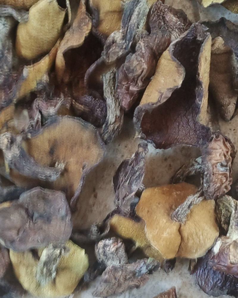 烘干松蘑【推荐】产地直发品质保证可视频看货欢迎下单