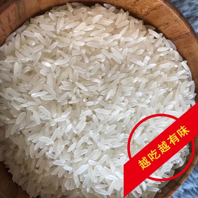 厂家直批猫牙米5kg~25kg煲仔饭用米长粒软香新米代发