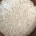 厂家直批猫牙米5kg~25kg煲仔饭用米长粒软香新米代发