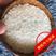 厂家直批猫牙米5kg~25kg煲仔饭用米长粒软香新米代发