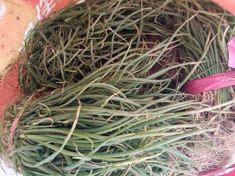 正宗半高庄二红洋葱苗，一手货源，品质有保障，价格不高