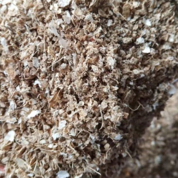 大量销售花生壳粉猪牛羊饲料花生壳粉质量保证