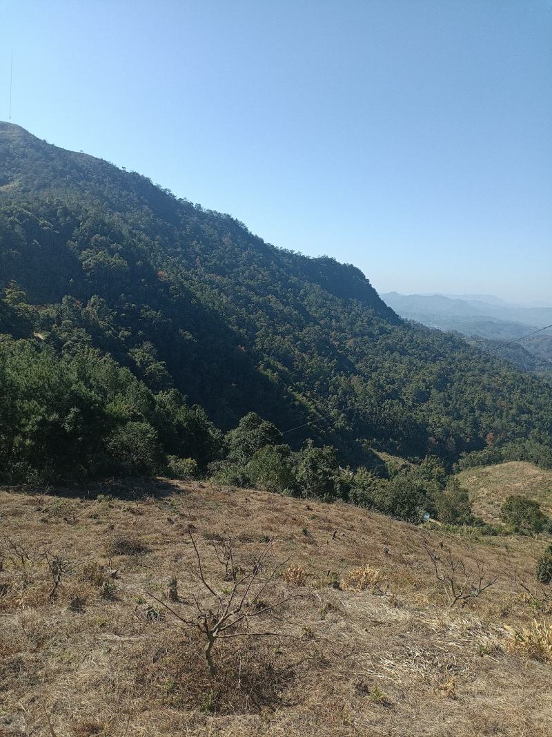 山地出租转让。