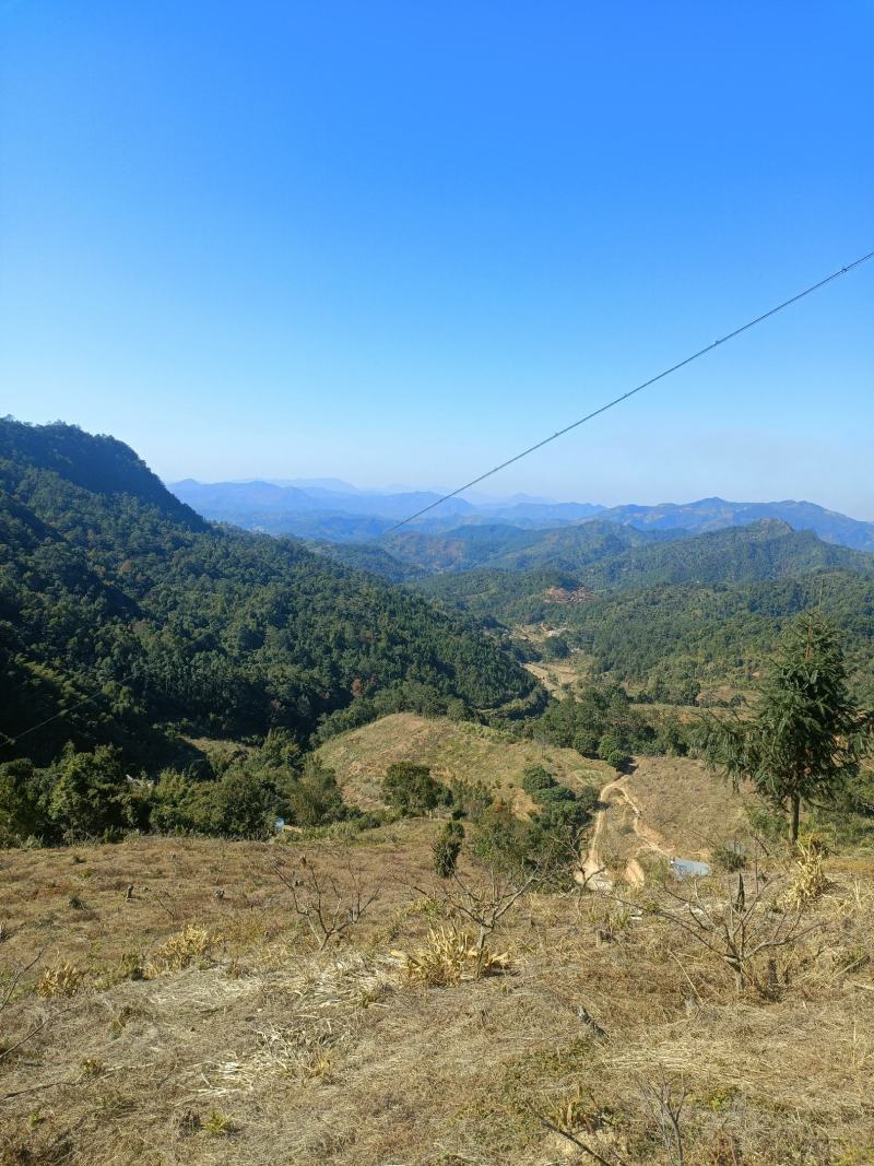 山地出租转让。