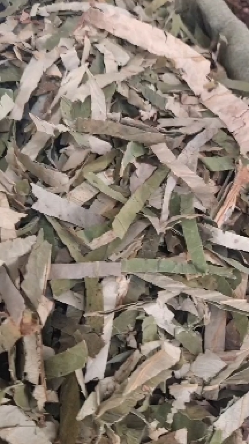 荷叶～1公斤起售～量大从优