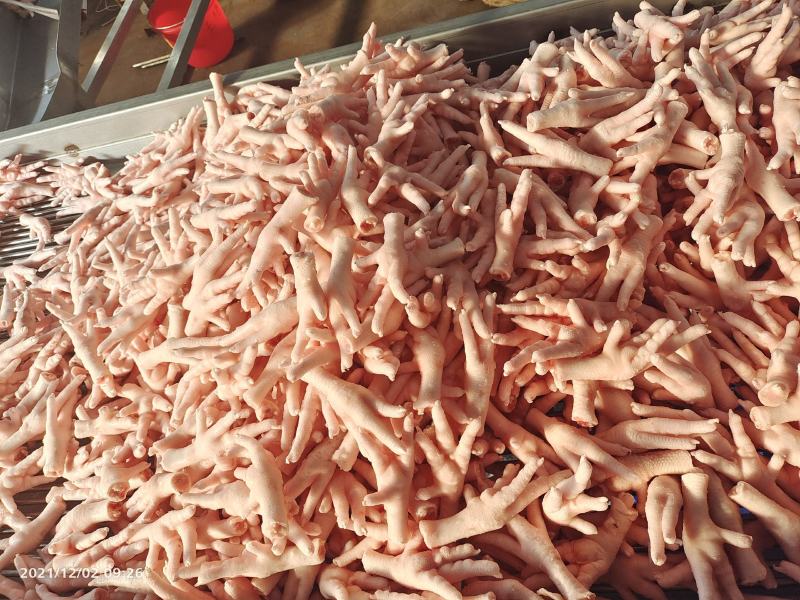 鸡副产品凤爪鸡爪冷冻食品批发鸡产品山东厂家凤爪