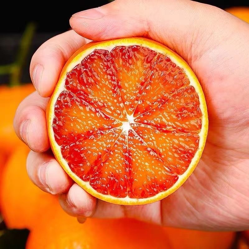 精品橙子血橙红肉橙精品血橙重庆开州血橙基地发货