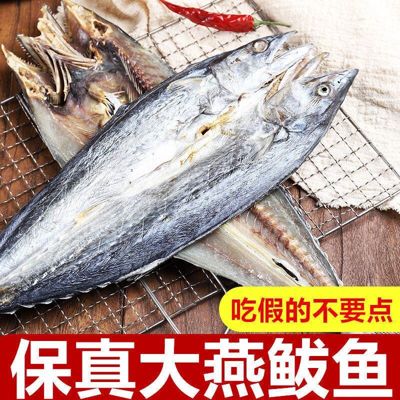 刀鲅鱼马鲛鱼咸鱼山东日照发货厂家一手货源