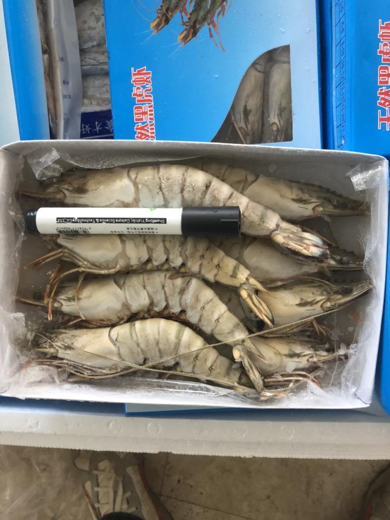 黑虎虾各种规格黑虎虾一件10盒装每盒500克