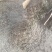黄精，鸡头黄精，野干货。无硫。可以食用。