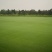 四季青，百慕大，马尼拉，果岭草各品种草坪现货量大无中间商