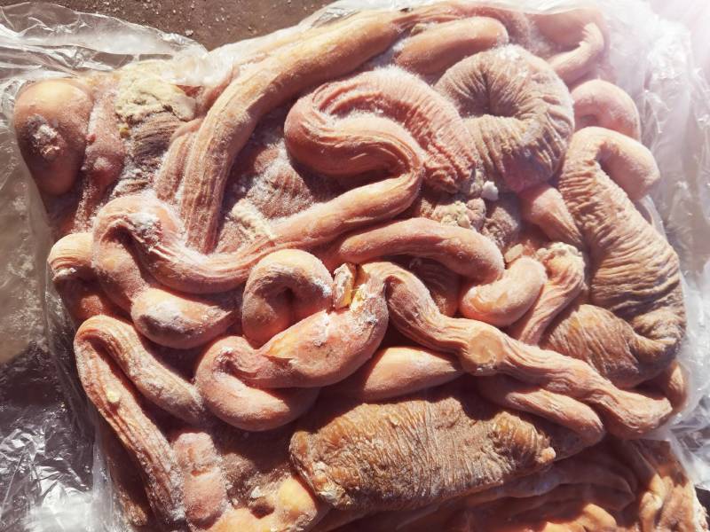 锡林浩特市，牛副产品-牛肠，质量保证，需要的放心够买