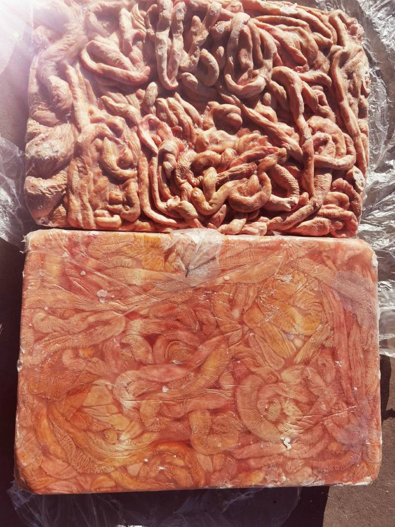 锡林浩特市，牛副产品-牛肠，质量保证，需要的放心够买