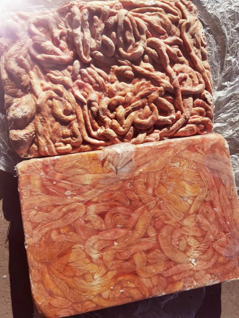 锡林浩特市，牛副产品-牛肠，质量保证，需要的放心够买