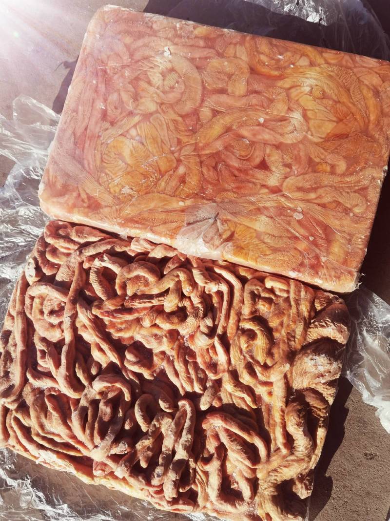 锡林浩特市，牛副产品-牛肠，质量保证，需要的放心够买