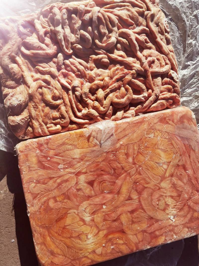 锡林浩特市，牛副产品-牛肠，质量保证，需要的放心够买