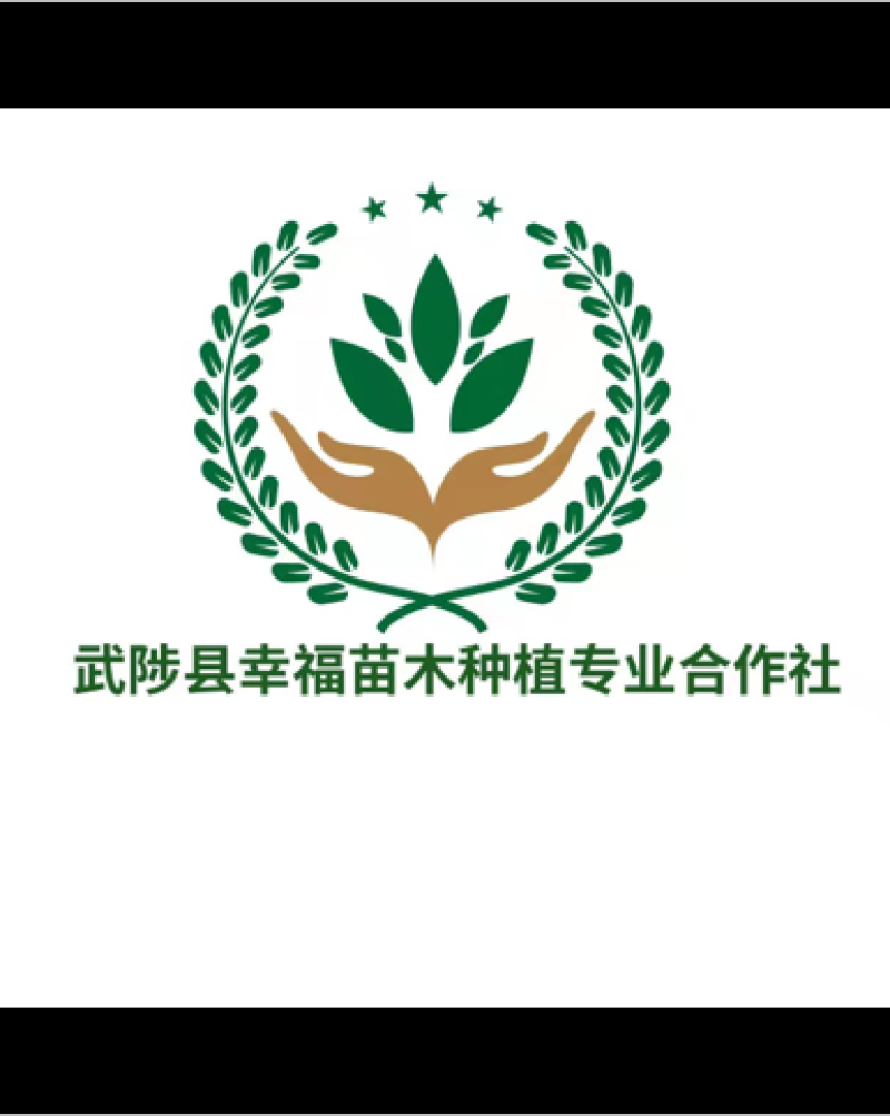 桃树苗