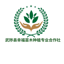 桃树苗