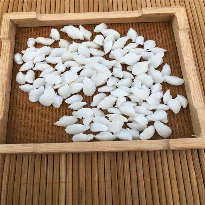 鱼脑石粉超细破壁粉高品质泡水泡茶中药材特级正品包邮