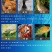 秘鲁超级进口鱼粉饲料兽用养殖猪鸡鸭鹅水产虾蟹鳖