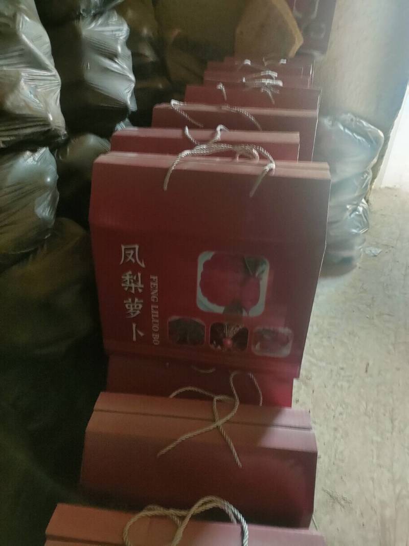 沙窝萝卜水果萝卜