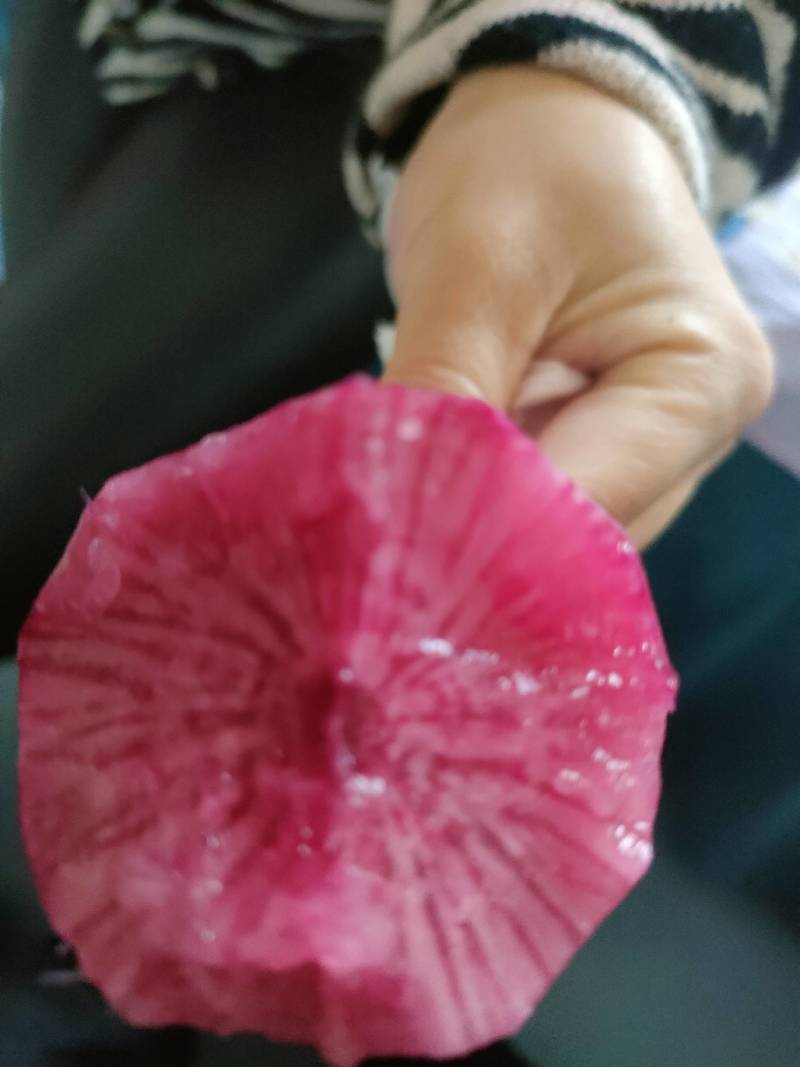 沙窝萝卜水果萝卜