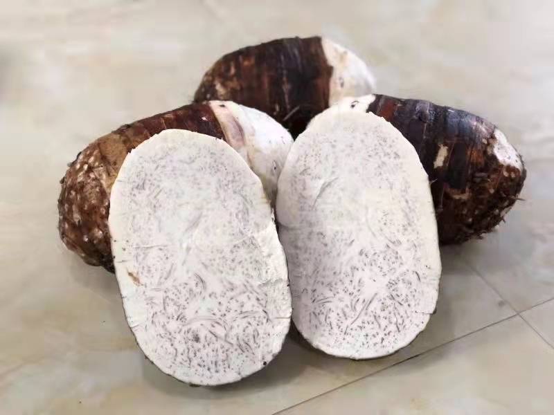 图片说明:金黄色的香芋猪肉煎饺,外皮酥脆,内馅鲜嫩多汁 香芋猪肉煎饺成品图