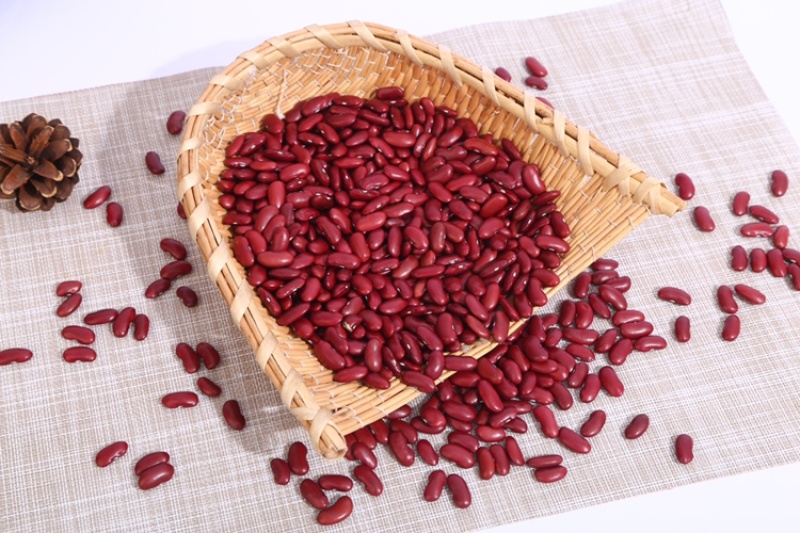 红芸豆现货批发英国红红腰豆长红豆八宝粥原料量大从优