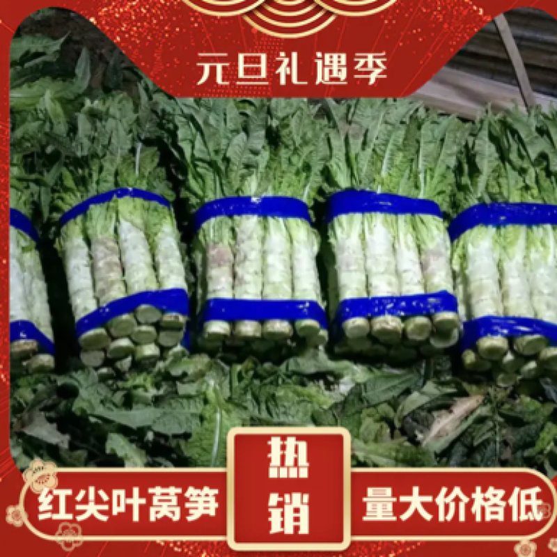 张北丨货好丨丨价格便宜丨一一一丨大量供应丨